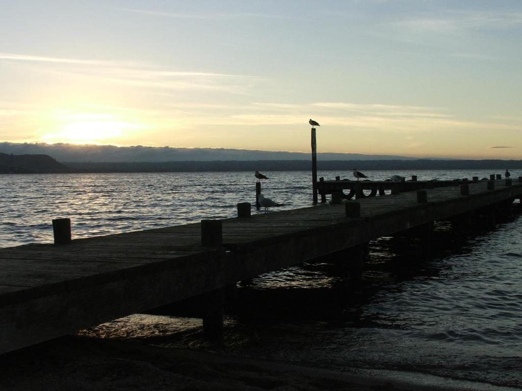 Cedarwood Lakeside Motel & Conference Venue Rotorua Kültér fotó